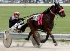 off track betting wisconsin|Wisconsin Off Track Betting .